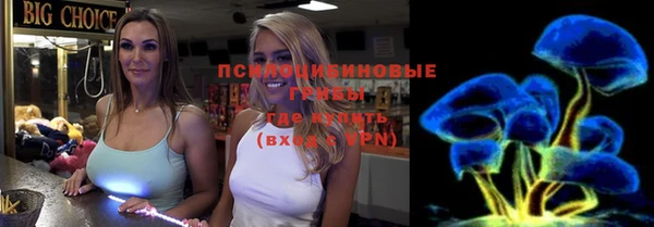 МДПВ Липки