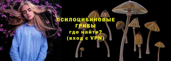 МДПВ Липки