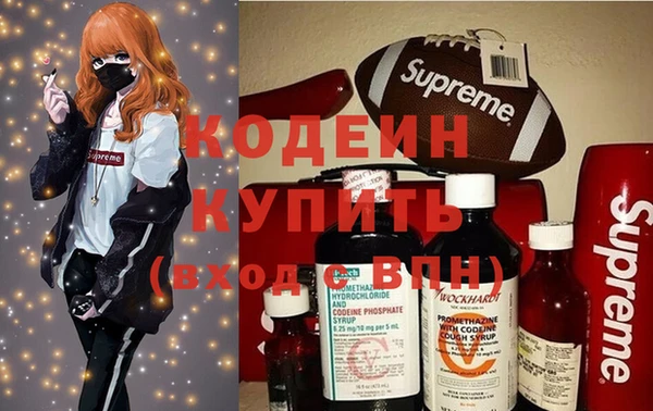 шишки Лиски