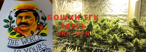 шишки Лиски