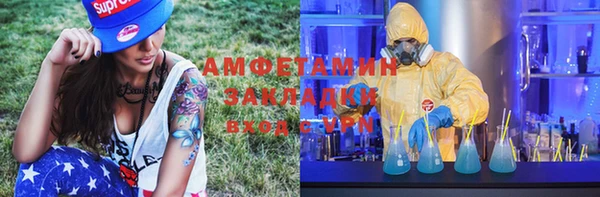 шишки Лиски