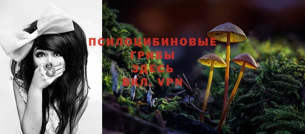 шишки Лиски