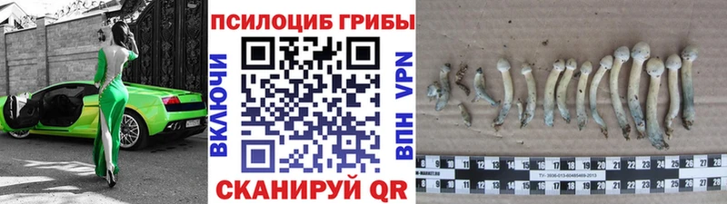 Купить закладки  Кукмор  Псилоцибиновые грибы прущие грибы 